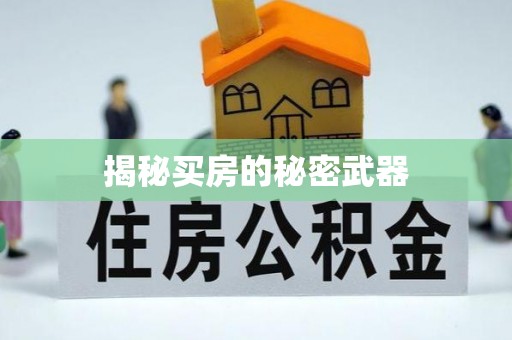 柳东揭秘买房的秘密武器