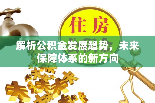 柳东解析公积金发展趋势，未来保障体系的新方向
