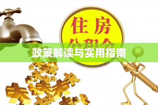 柳东政策解读与实用指南