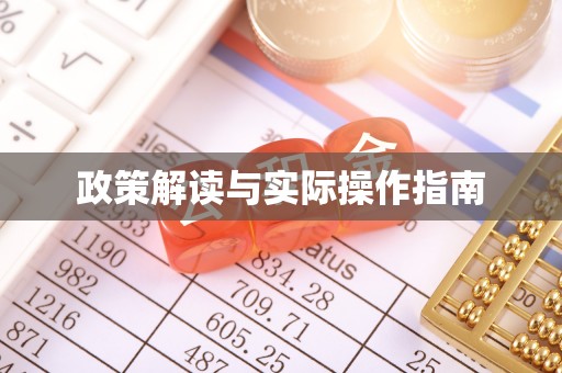 柳东政策解读与实际操作指南