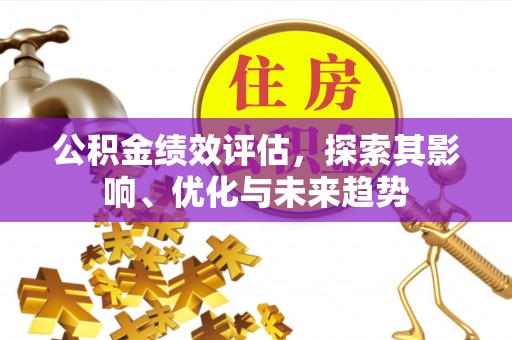 柳东公积金绩效评估，探索其影响、优化与未来趋势