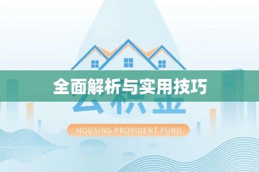 柳东全面解析与实用技巧