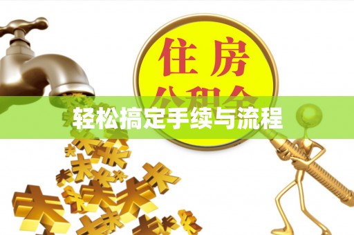 柳东轻松搞定手续与流程