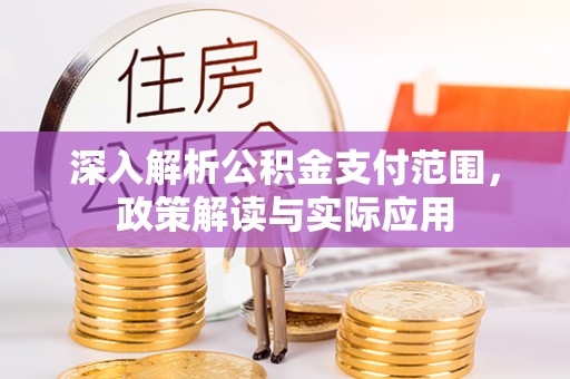 柳东深入解析公积金支付范围，政策解读与实际应用