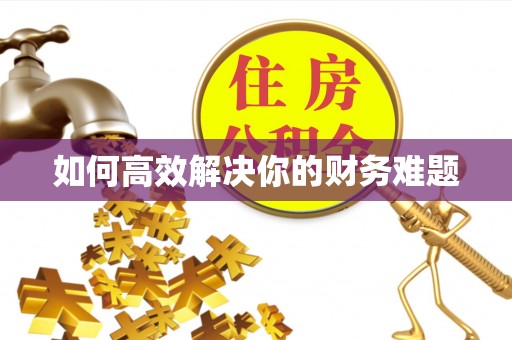 柳东如何高效解决你的财务难题