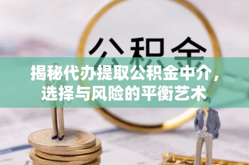柳东揭秘代办提取公积金中介，选择与风险的平衡艺术