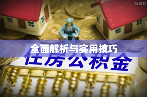 柳东全面解析与实用技巧