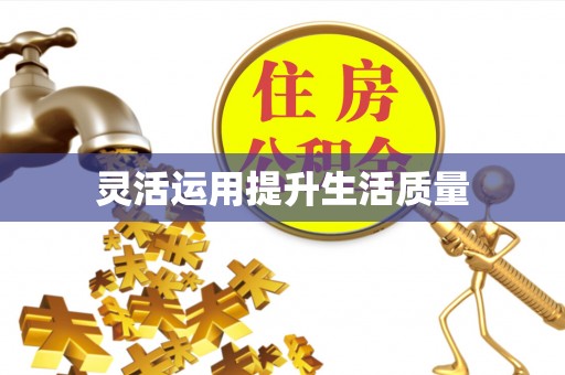 柳东灵活运用提升生活质量