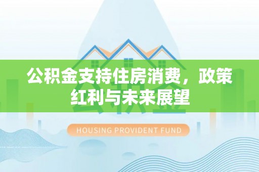 柳东公积金支持住房消费，政策红利与未来展望