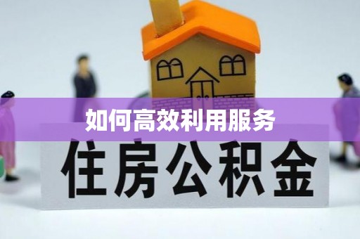 柳东如何高效利用服务