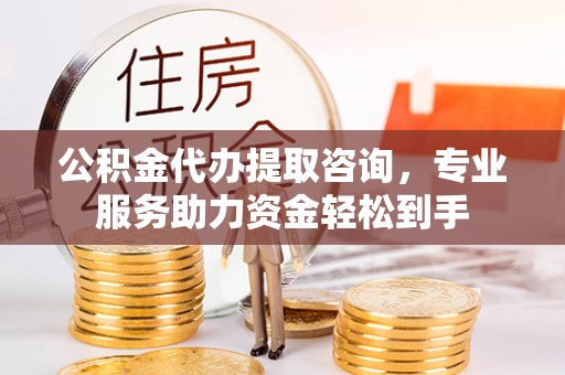 柳东公积金代办提取咨询，专业服务助力资金轻松到手