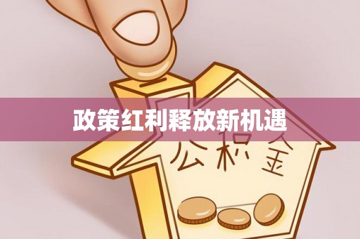 柳东政策红利释放新机遇