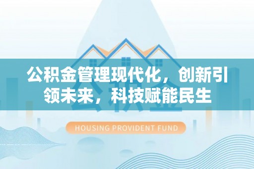 柳东公积金管理现代化，创新引领未来，科技赋能民生