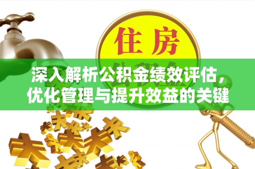 柳东深入解析公积金绩效评估，优化管理与提升效益的关键路径