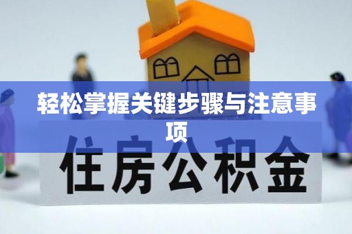 柳东轻松掌握关键步骤与注意事项