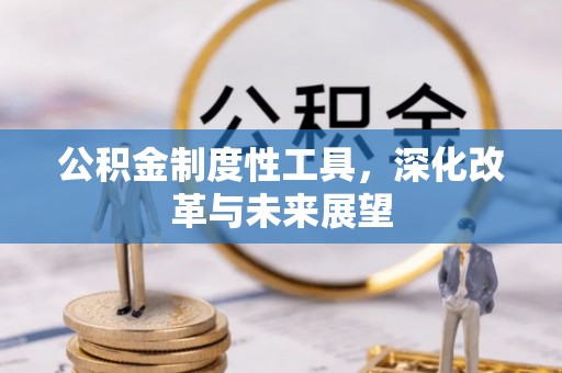 柳东公积金制度性工具，深化改革与未来展望