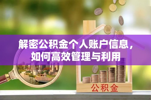 柳东解密公积金个人账户信息，如何高效管理与利用