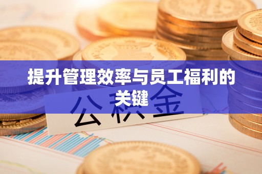 柳东提升管理效率与员工福利的关键