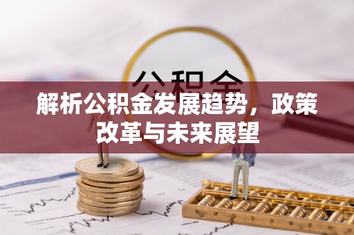 柳东解析公积金发展趋势，政策改革与未来展望