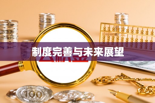柳东制度完善与未来展望