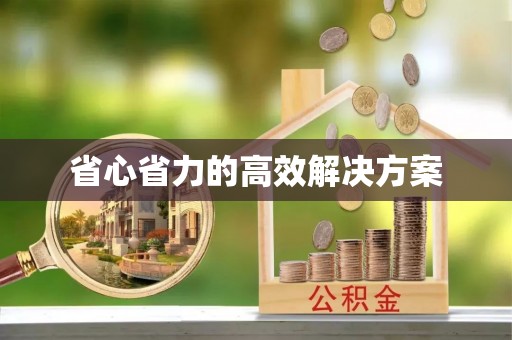 柳东省心省力的高效解决方案