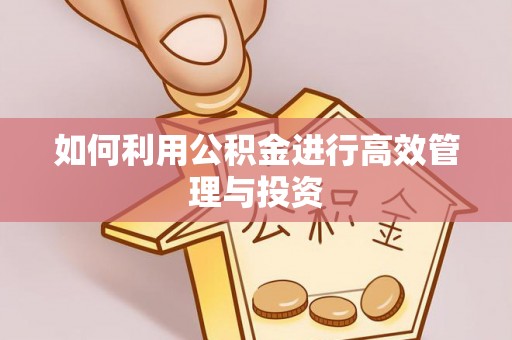 柳东如何利用公积金进行高效管理与投资