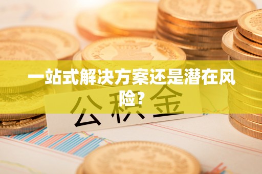 柳东一站式解决方案还是潜在风险？