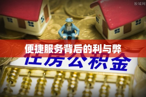 柳东便捷服务背后的利与弊